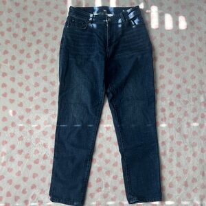 Ann Taylor Factory Dark Blue Denim Jeans
